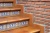 Клинкерная ступень фронтальная Rodamanto Gresmanc 245x334x50/15 мм